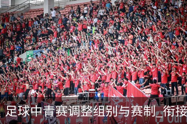 足球中青赛调整组别与赛制 衔接职业联赛
